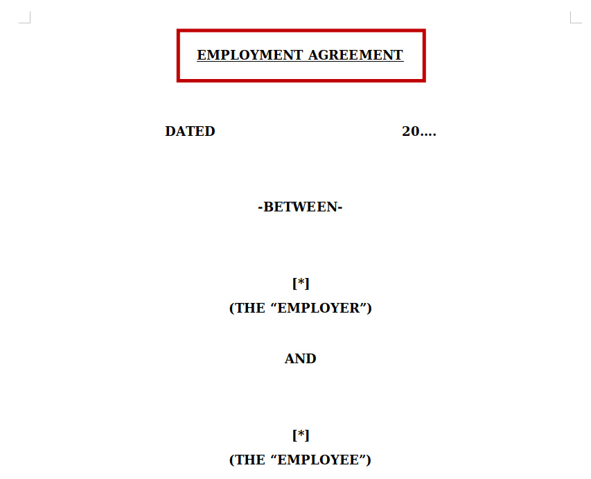 Employment Contract document preview